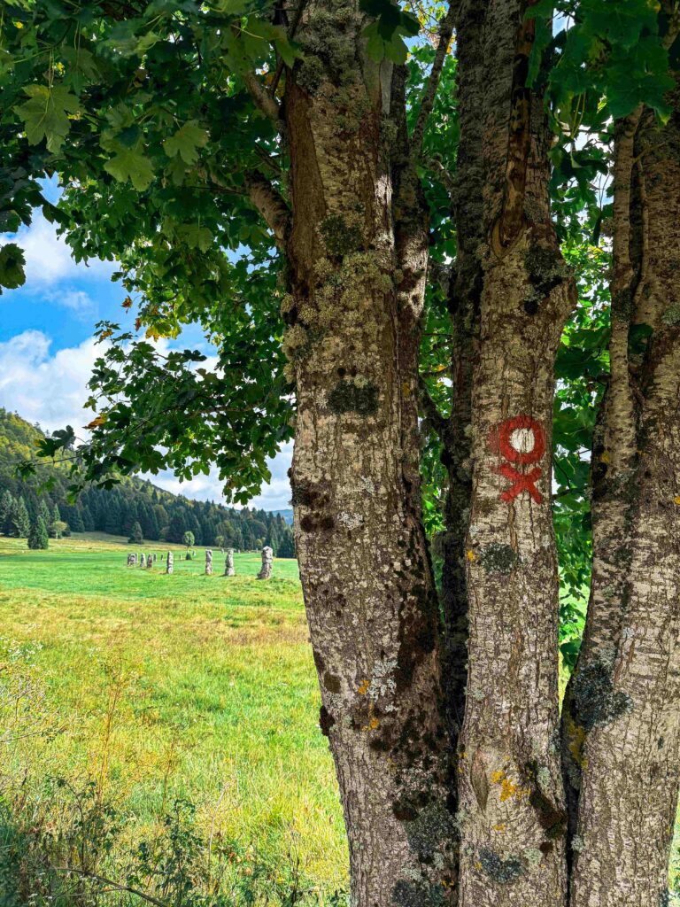 malo_pomalo_mrkopalj