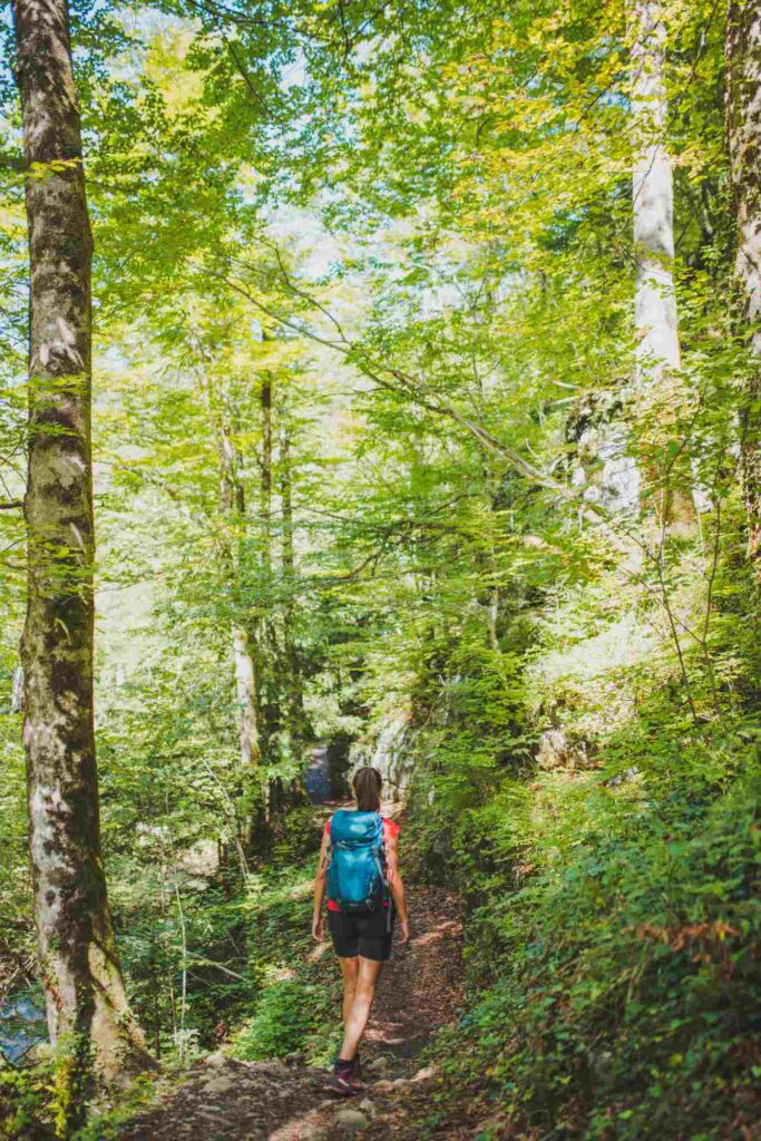 kamacnik_gorski_kotar