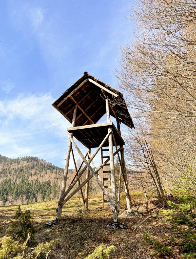 poucna_staza_leska_risnjak