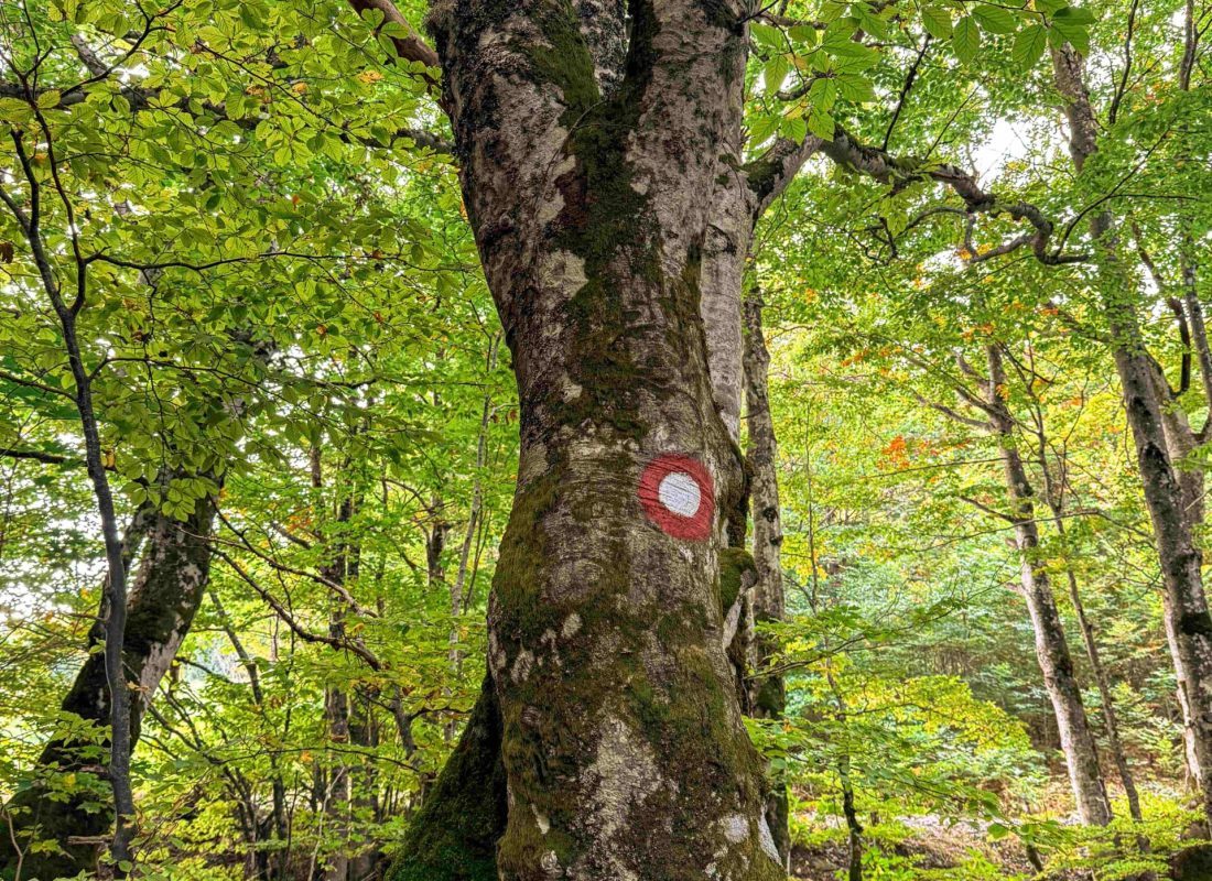 malo_pomalo_mrkopalj7